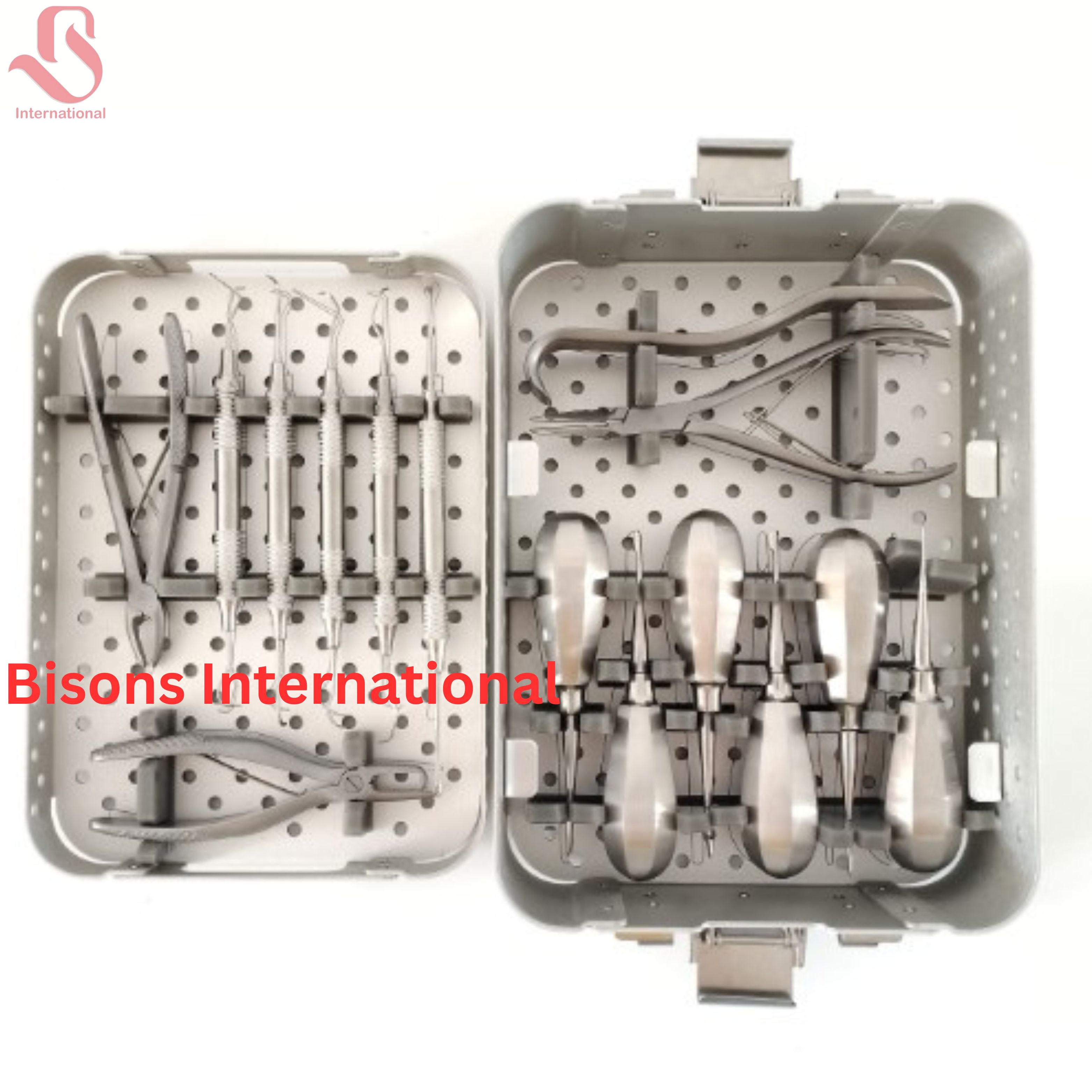 Veterinary Dental Instrument Set with Standard Handle Elevators for Dog Care
