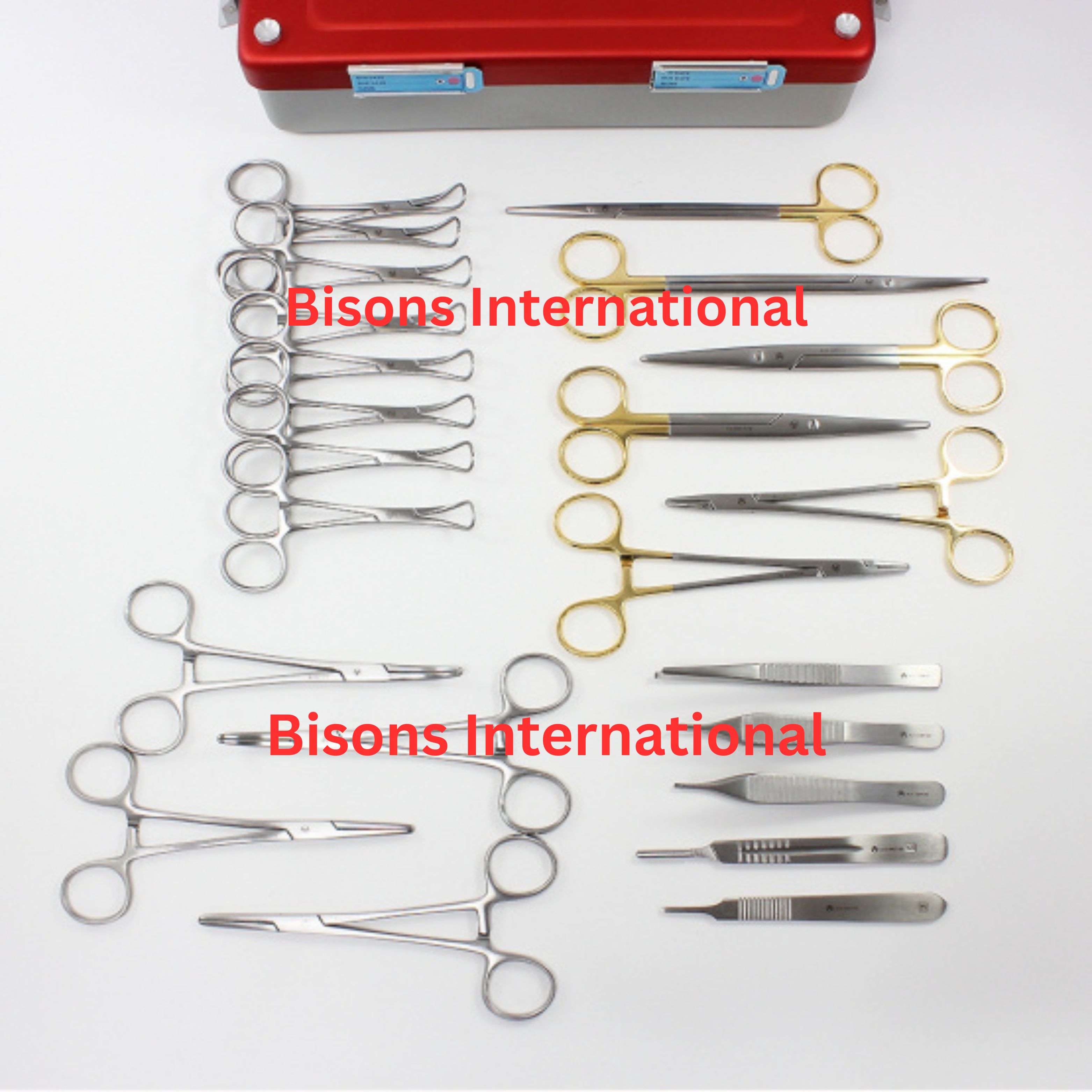 Equine Veterinary Surgical Instrument Kit | Scissors, Forceps & Sterilization Container