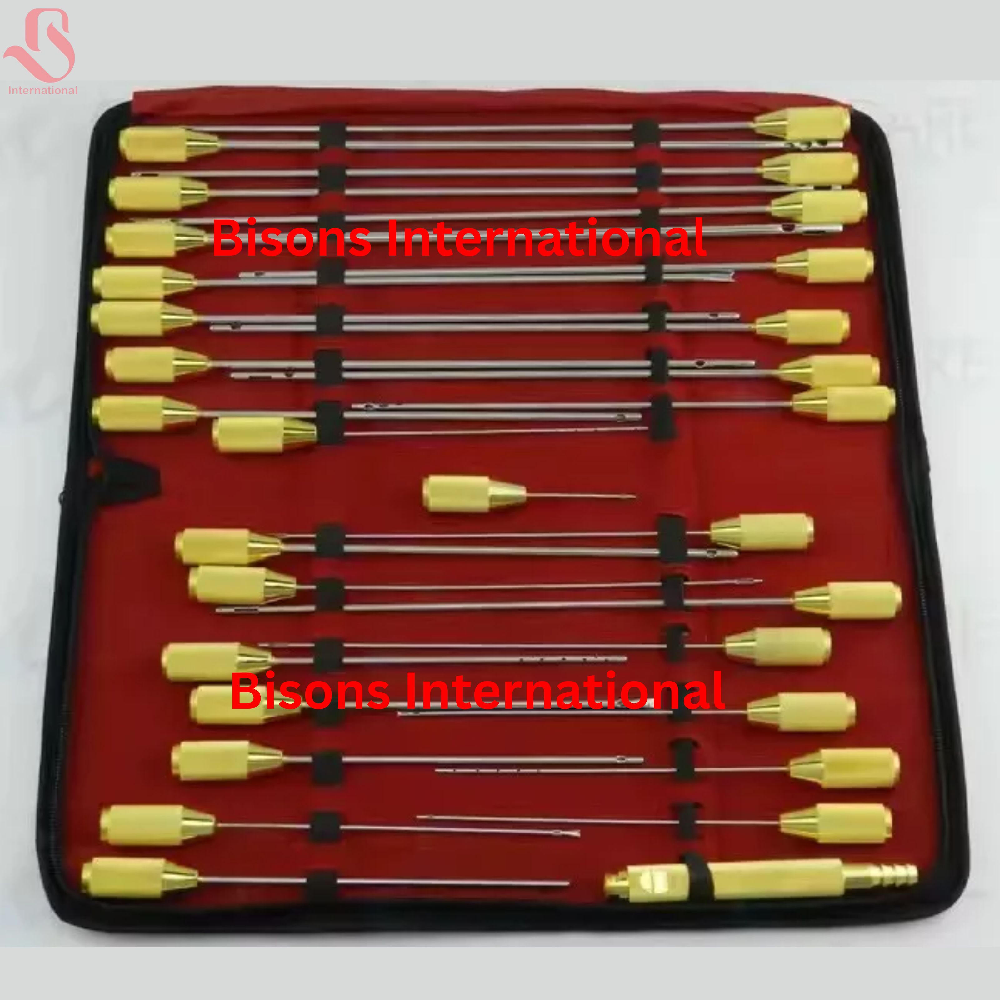 Liposuction Cannulas Set of 30 PCS | Plastic Surgery Instruments Kit
