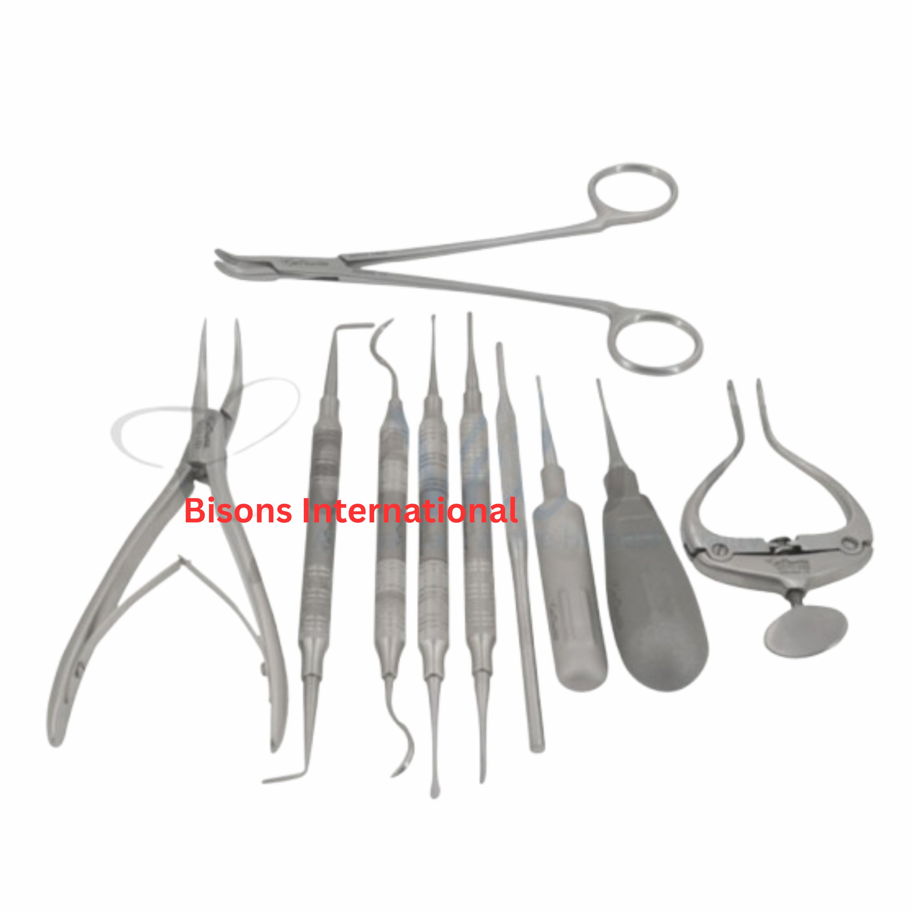 Rabbit Dental Extraction Surgery Kit | Veterinary Dental Instruments Set
