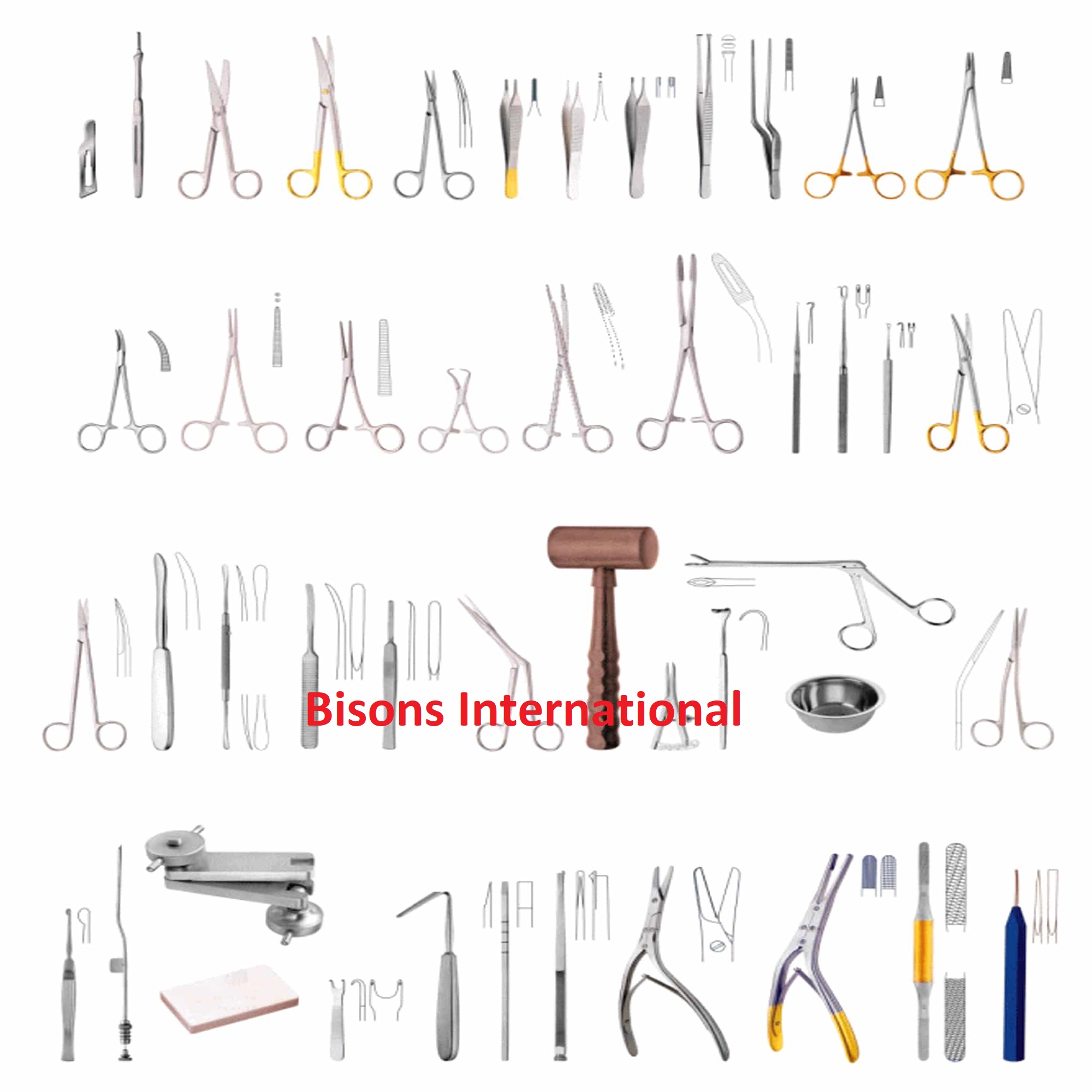 Complete Gubisch Rhinoplasty Instrument Kit for Plastic Surgery